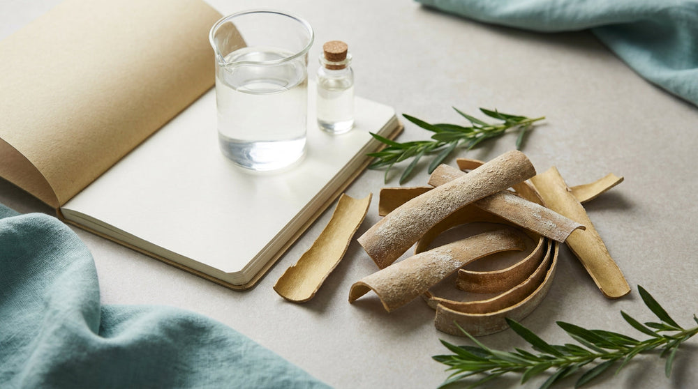 cascara-sagrada-science-nature-flatlay