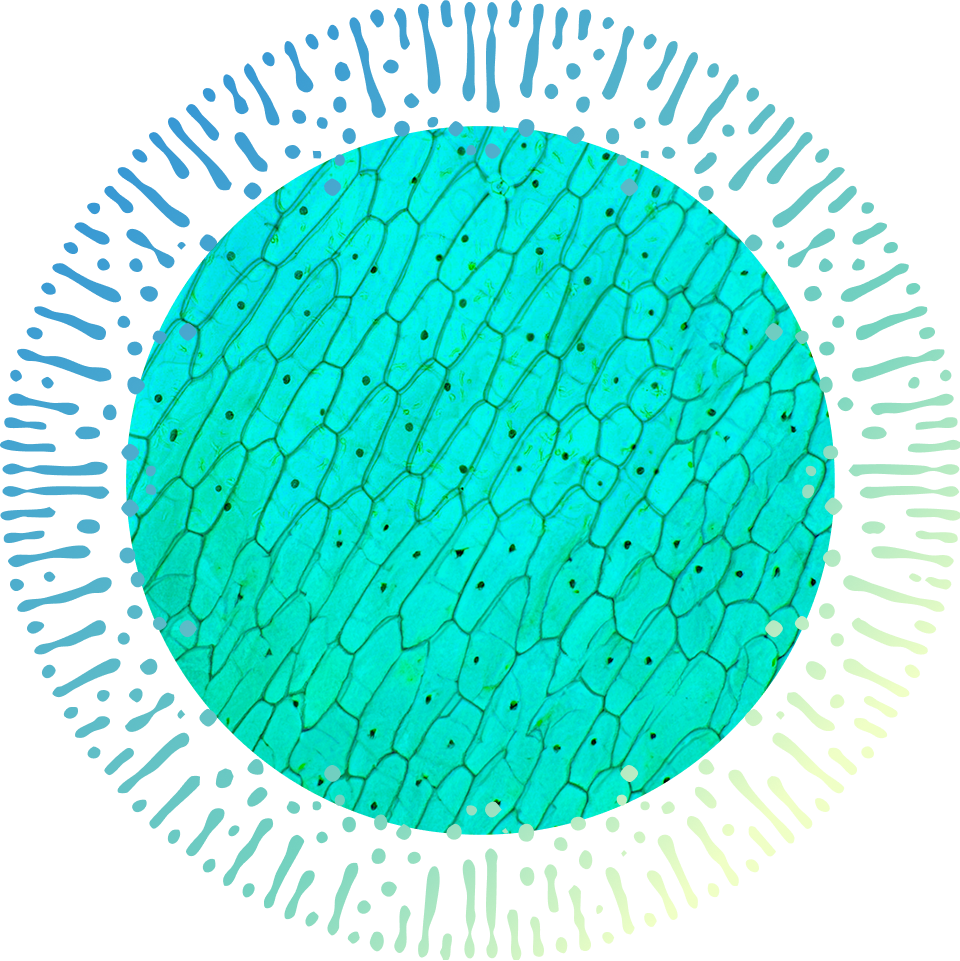 Advanced Formulation