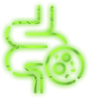 Digestion Is Slowed