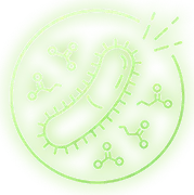 A More Complete Gut Support Process